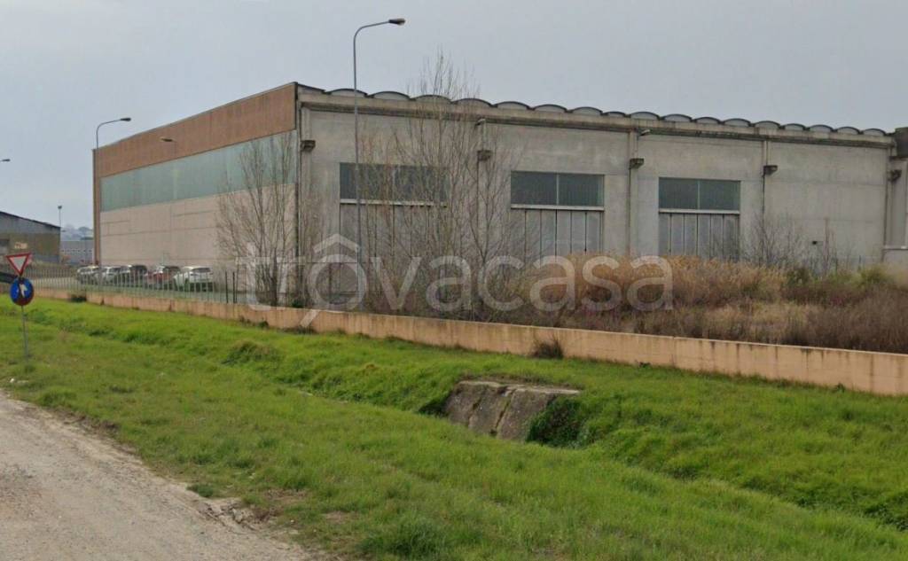 immagine annuncio 12 di 14