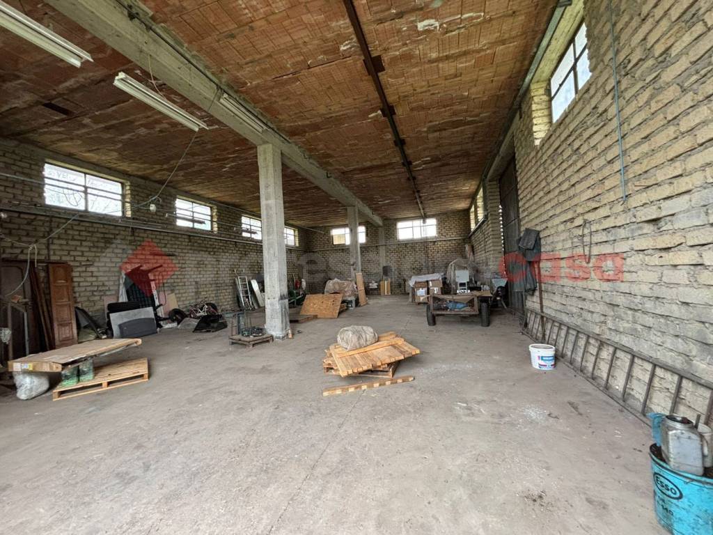 immagine annuncio 1 di 12