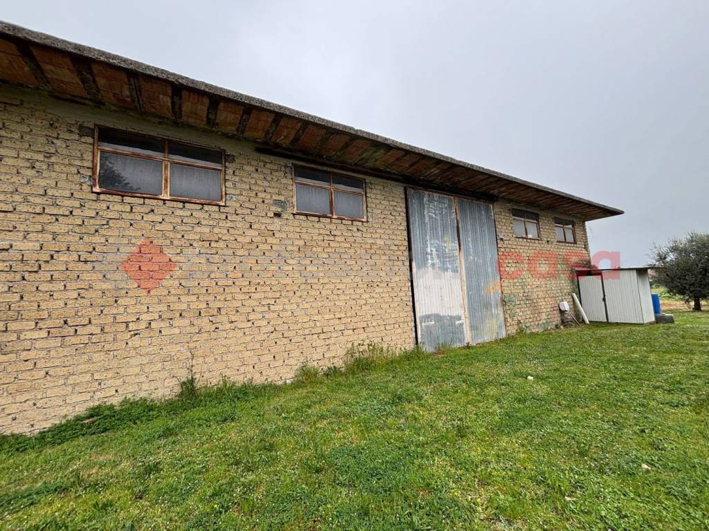 immagine annuncio 5 di 12