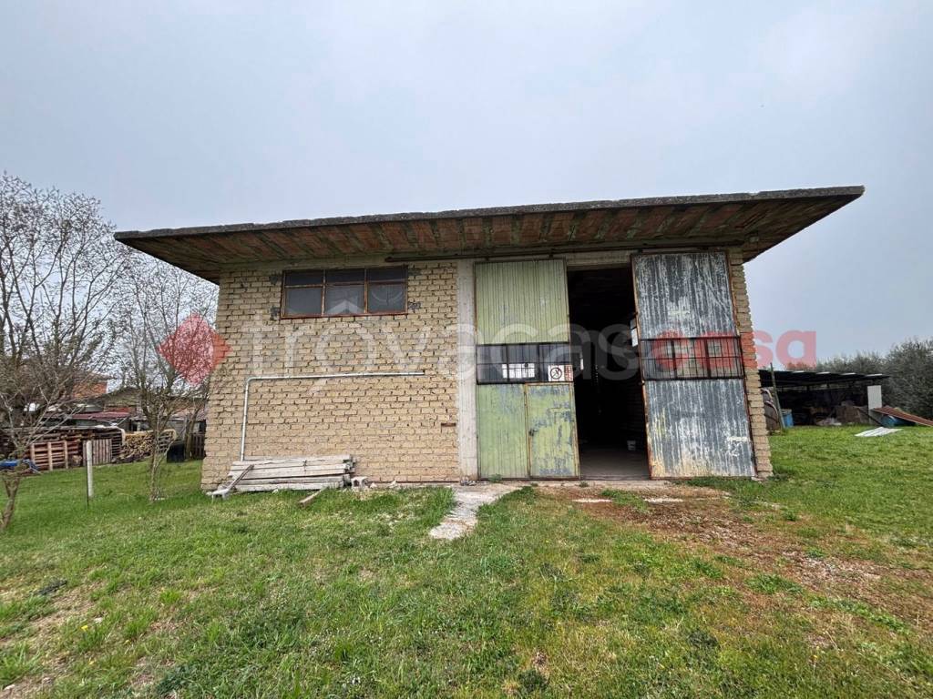 immagine annuncio 6 di 12