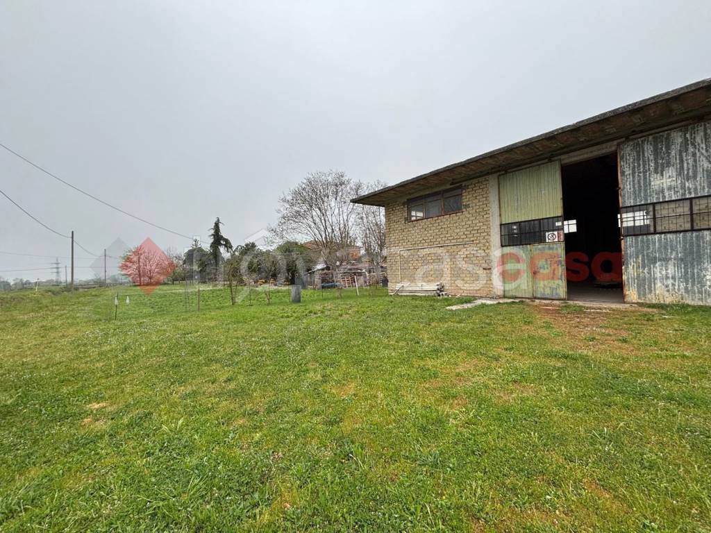 immagine annuncio 8 di 12