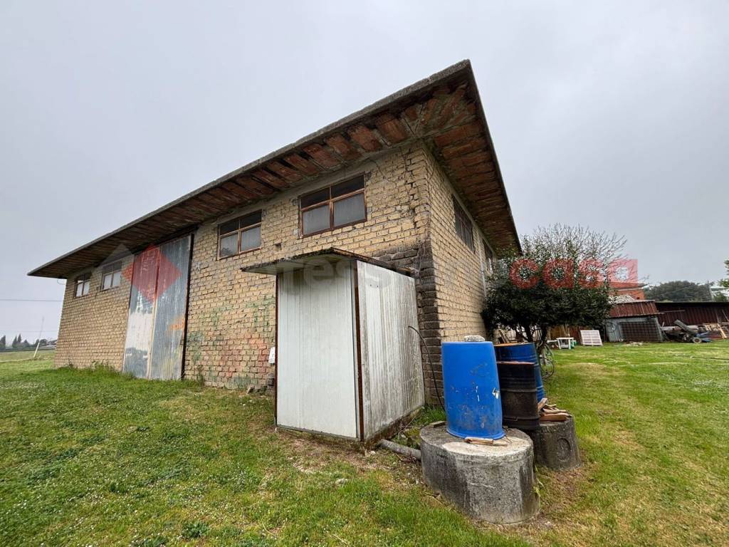 immagine annuncio 9 di 12