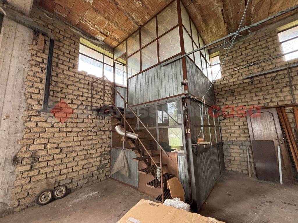 immagine annuncio 10 di 12