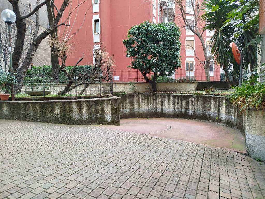 immagine annuncio 7 di 14