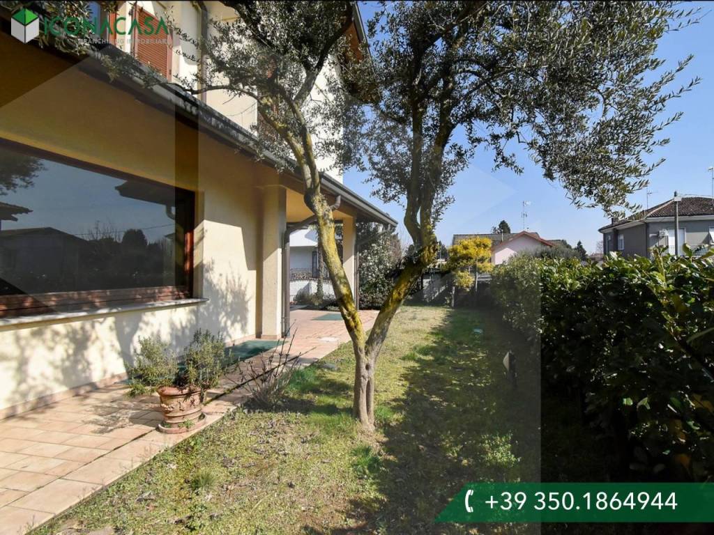 immagine annuncio 4 di 15