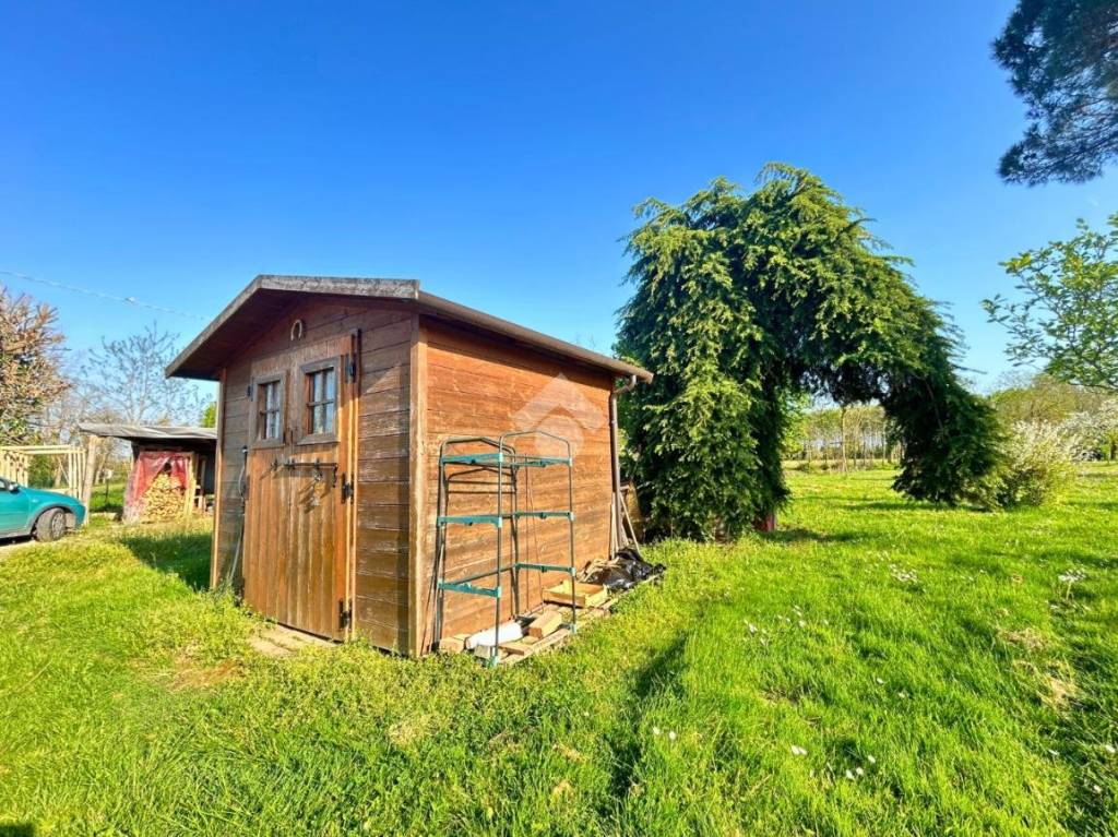 immagine annuncio 6 di 15