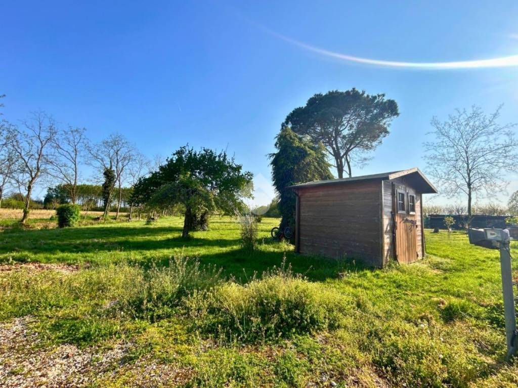 immagine annuncio 7 di 15