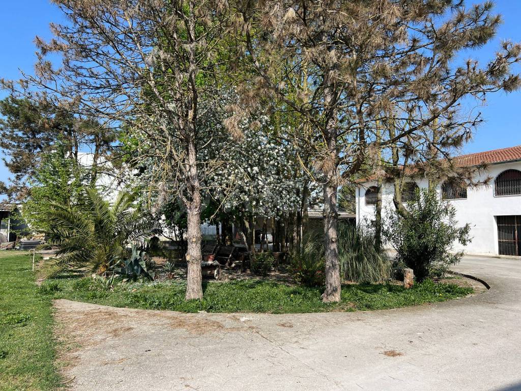 immagine annuncio 3 di 10