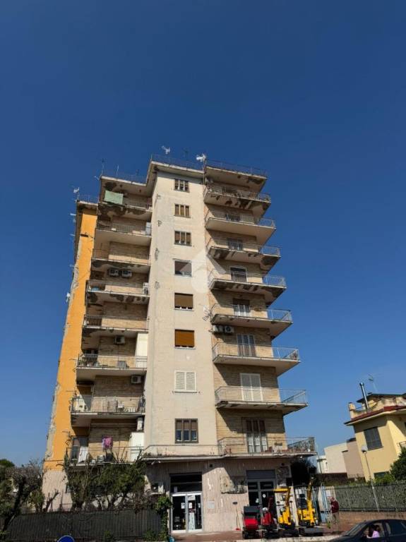 immagine annuncio 12 di 14