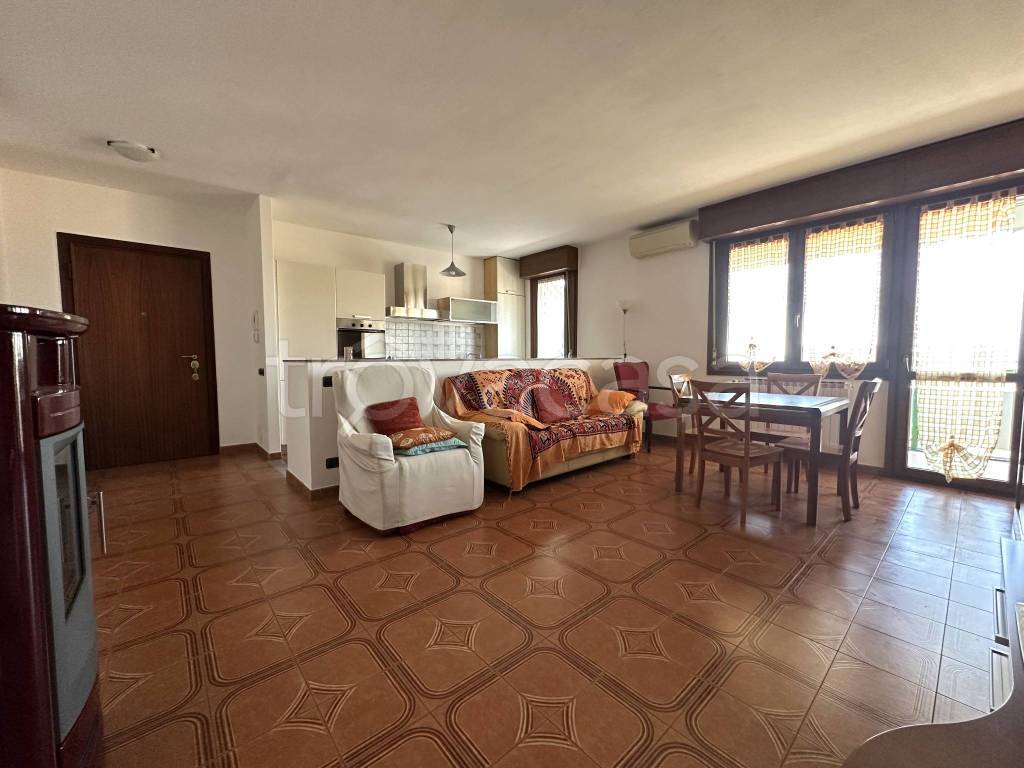 immagine annuncio 1 di 15