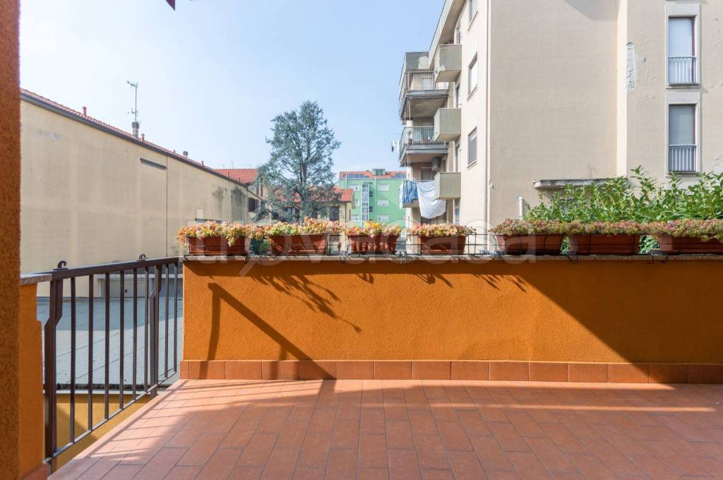 immagine annuncio 11 di 15