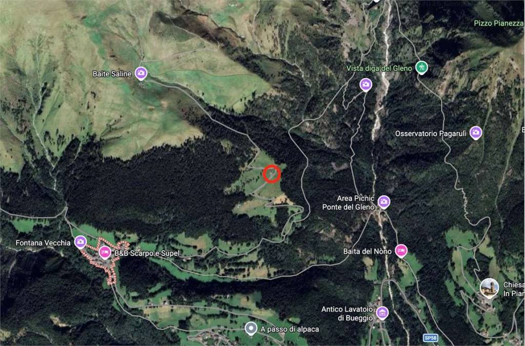 immagine annuncio 3 di 15