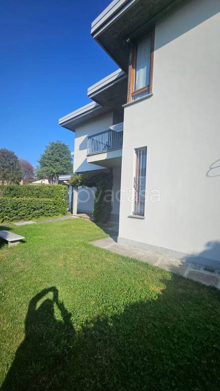 immagine annuncio 7 di 15