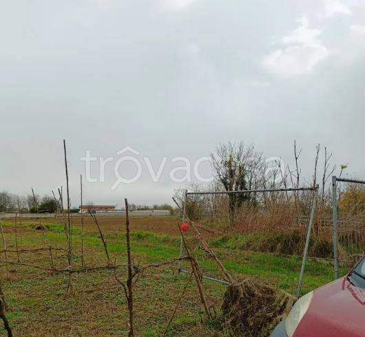 immagine annuncio 4 di 9