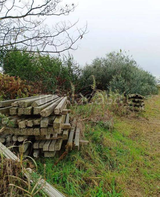 immagine annuncio 5 di 9