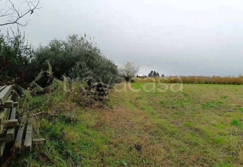 immagine annuncio 7 di 9