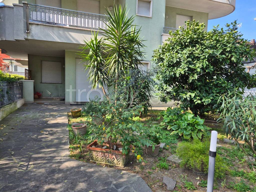 immagine annuncio 1 di 14