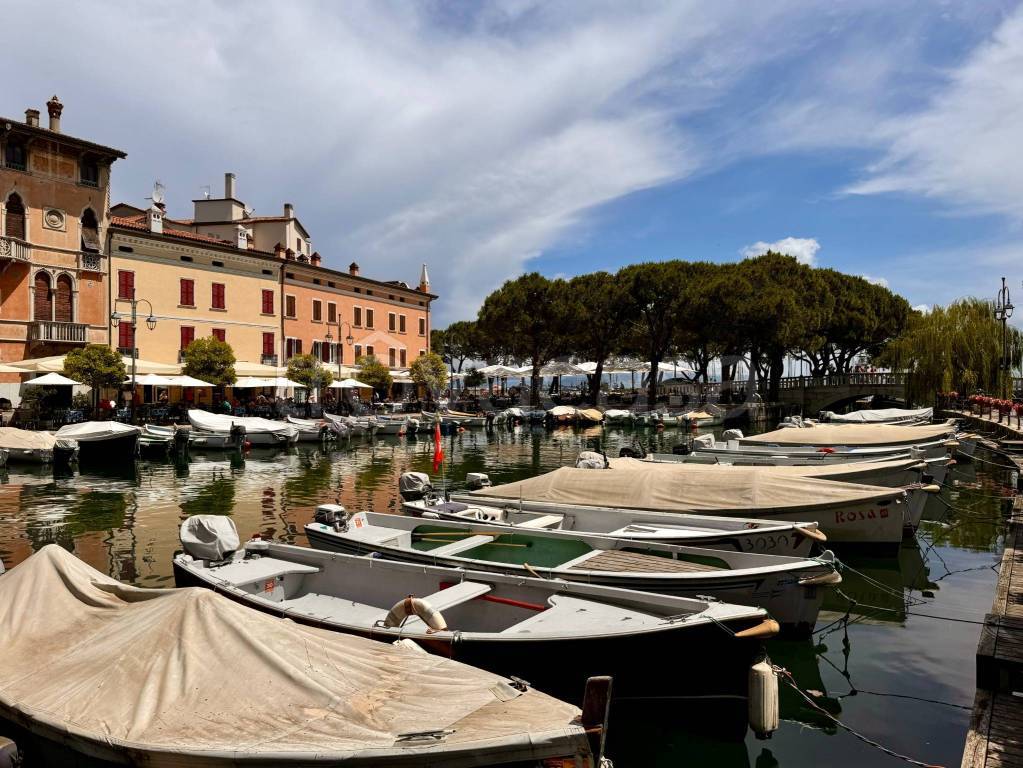 immagine annuncio 6 di 14