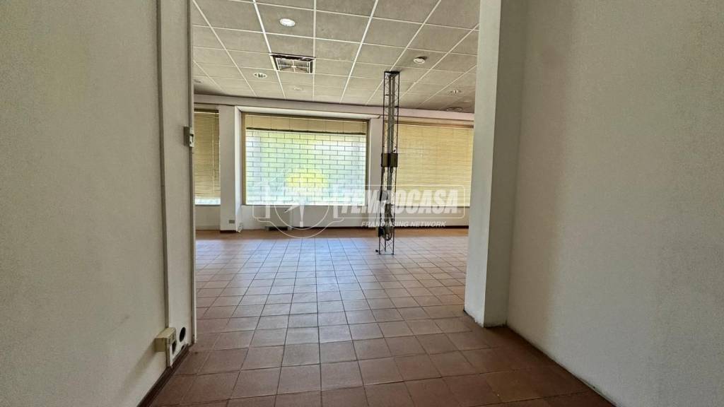 immagine annuncio 4 di 7