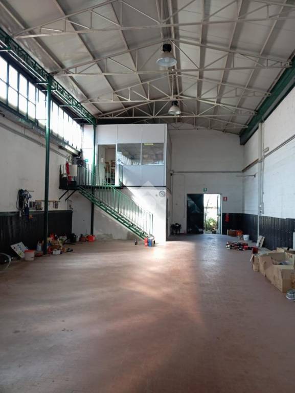 immagine annuncio 4 di 15