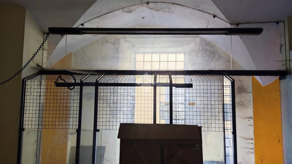 immagine annuncio 6 di 8