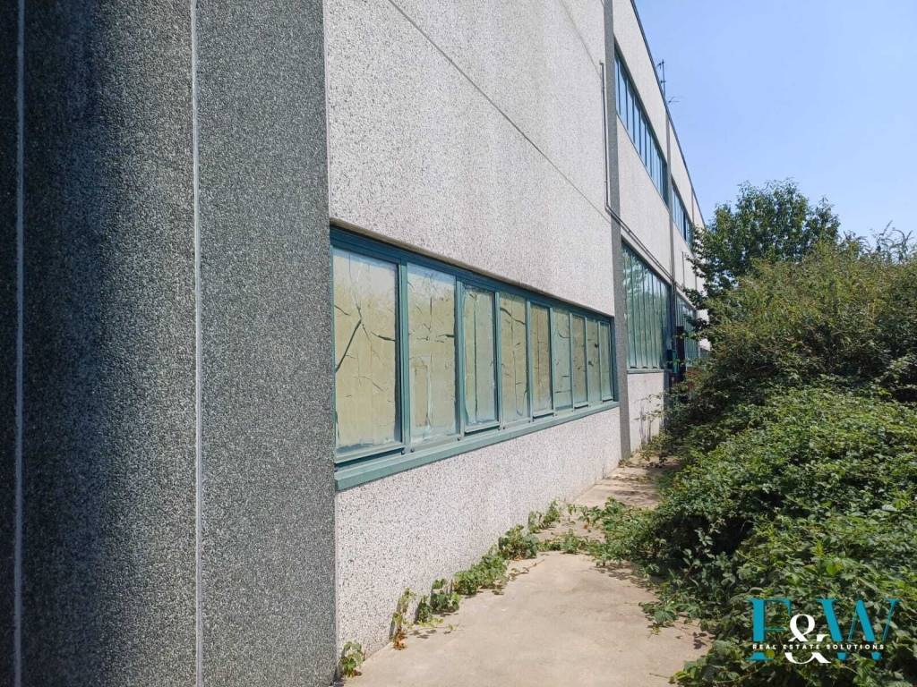 immagine annuncio 11 di 14