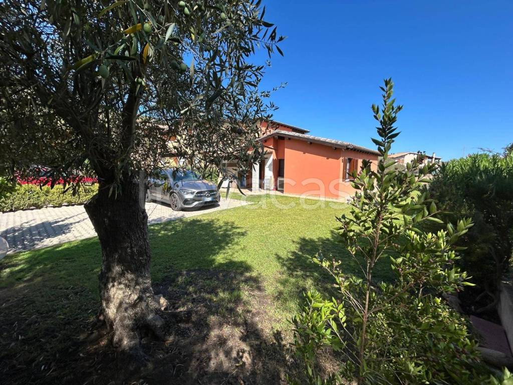 immagine annuncio 4 di 15