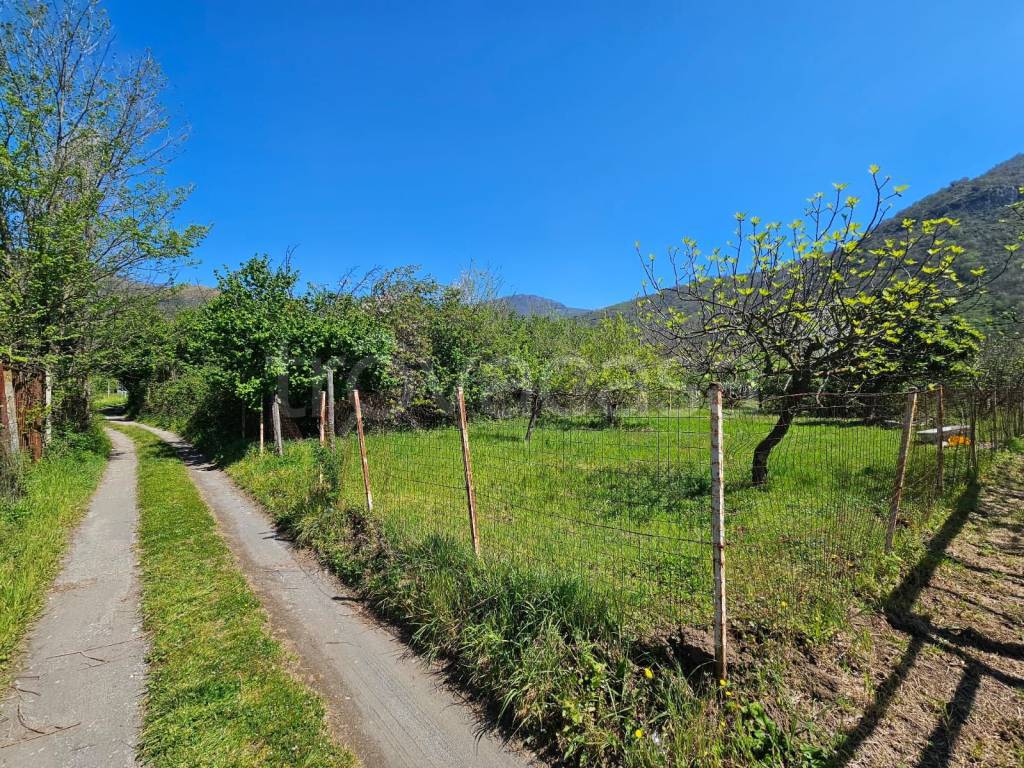 immagine annuncio 3 di 11