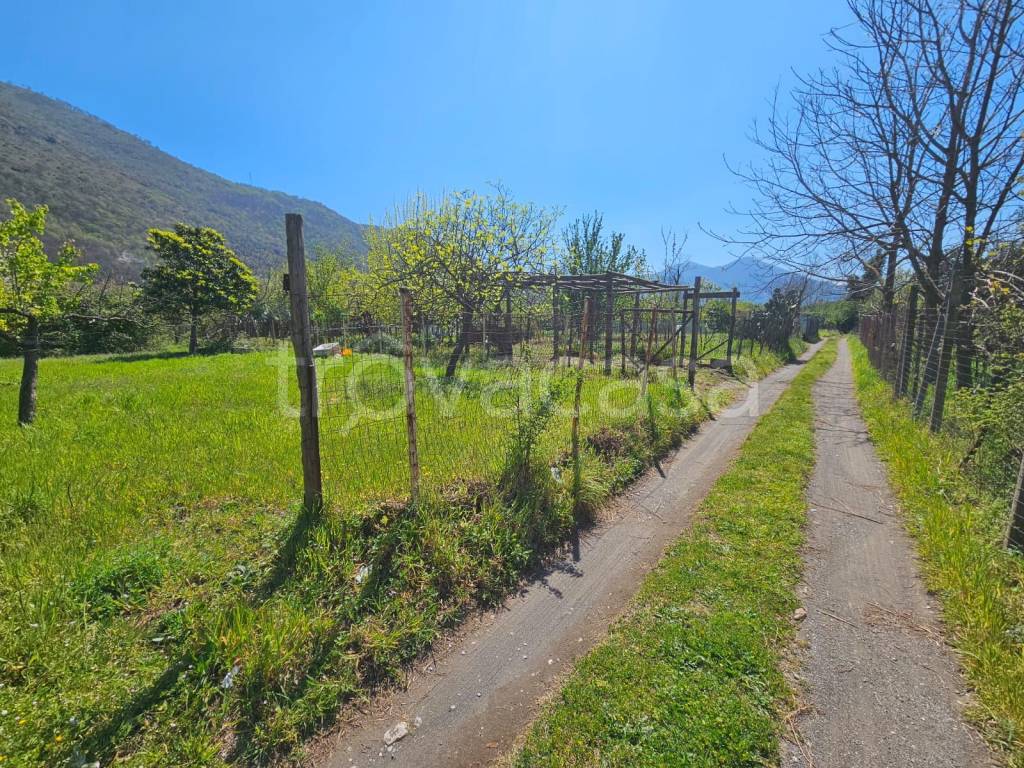 immagine annuncio 2 di 11