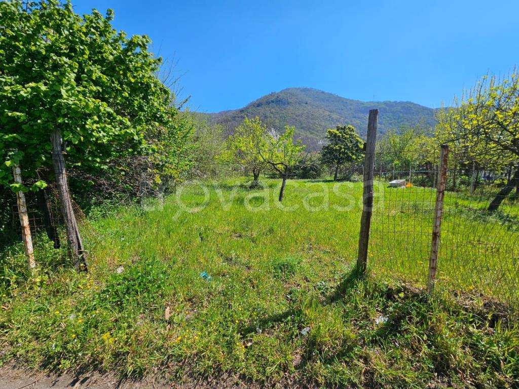 immagine annuncio 4 di 11