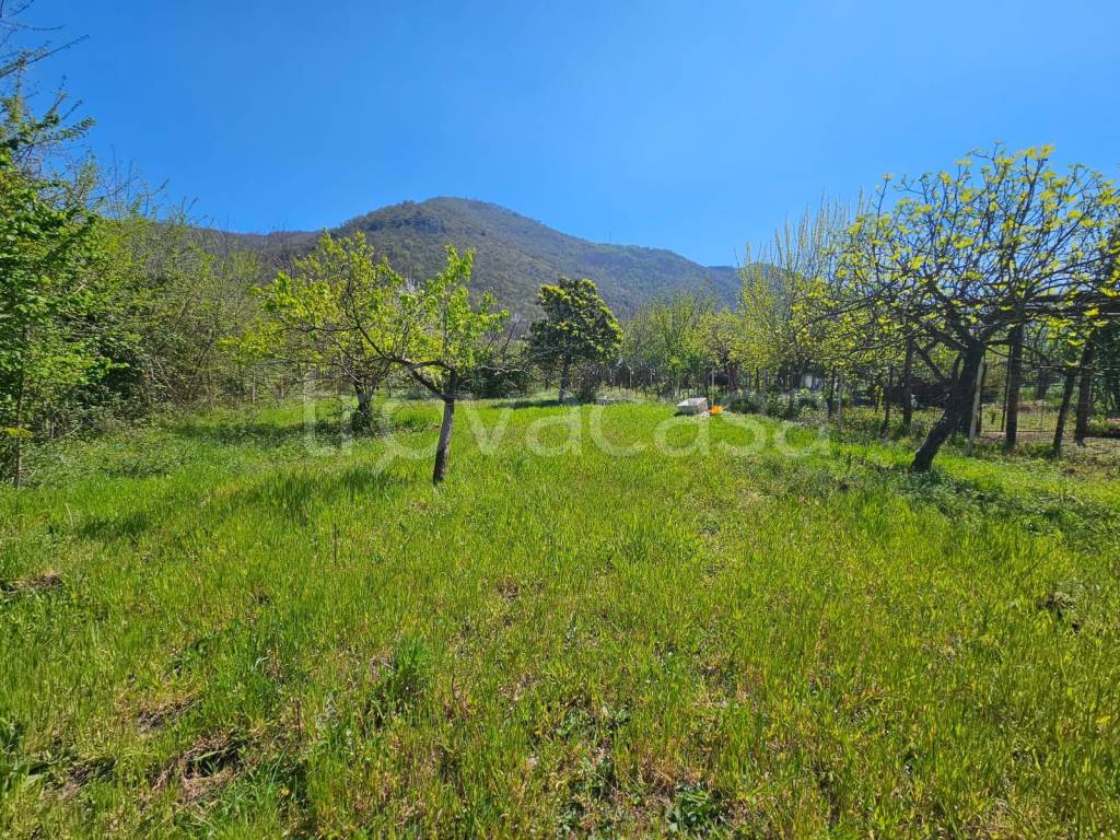 immagine annuncio 5 di 11