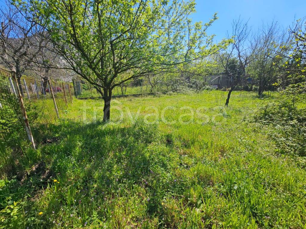 immagine annuncio 7 di 11