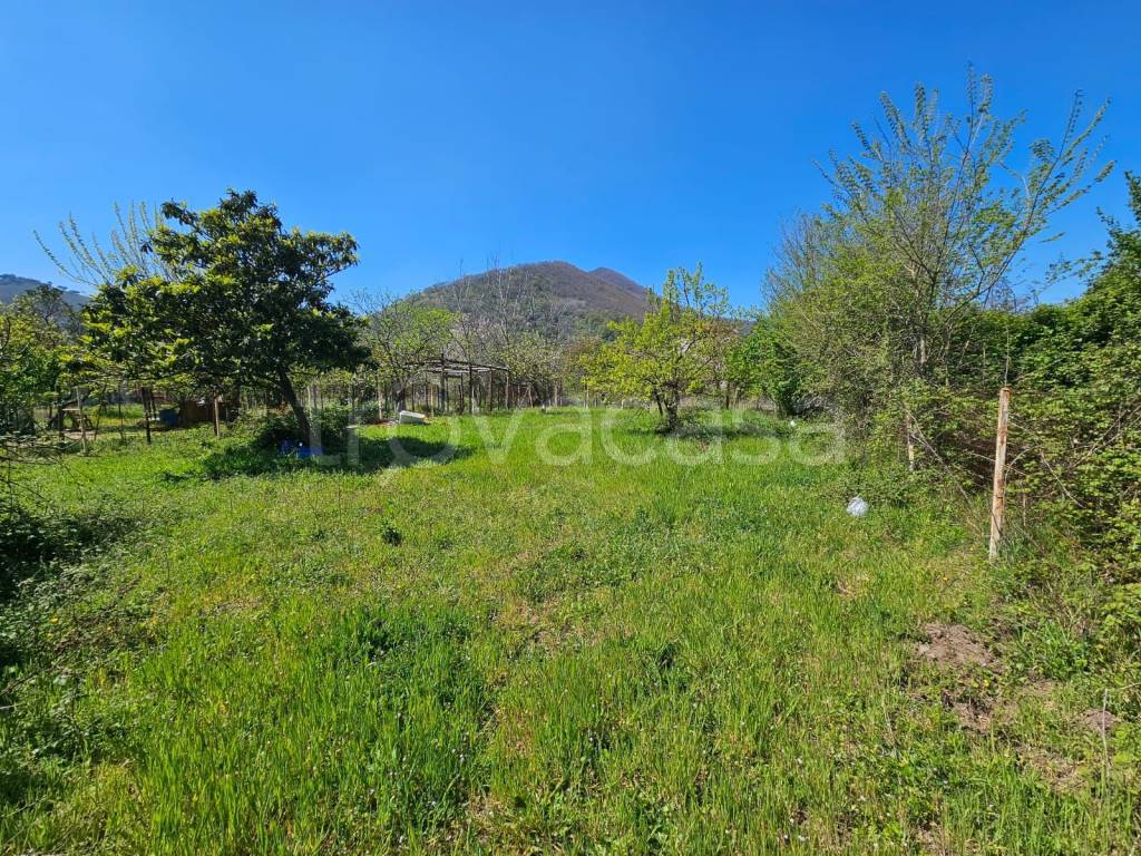 immagine annuncio 8 di 11