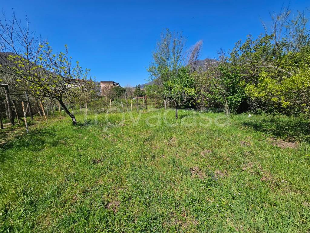 immagine annuncio 9 di 11