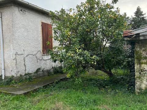 immagine annuncio 3 di 6