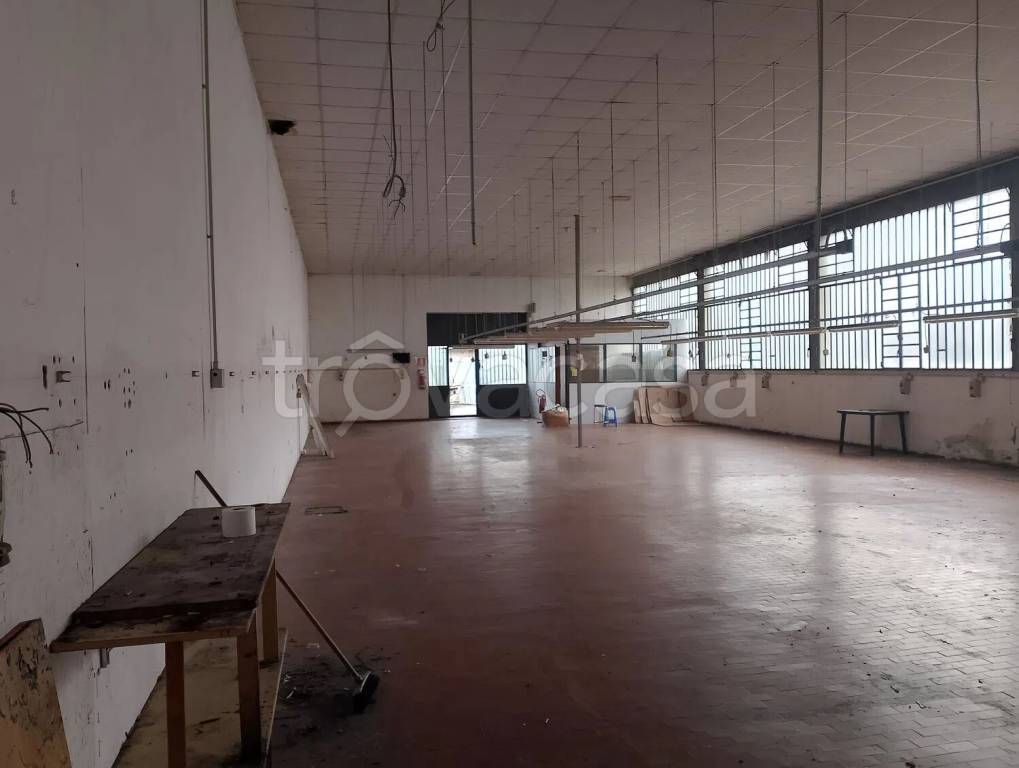 immagine annuncio 1 di 6