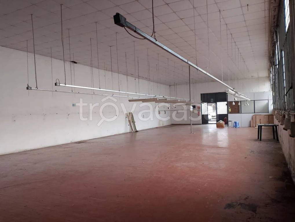 immagine annuncio 3 di 6