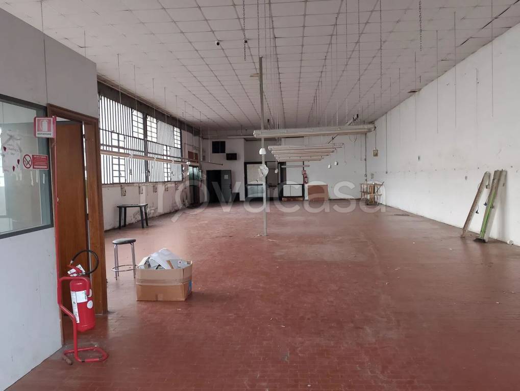 immagine annuncio 5 di 6