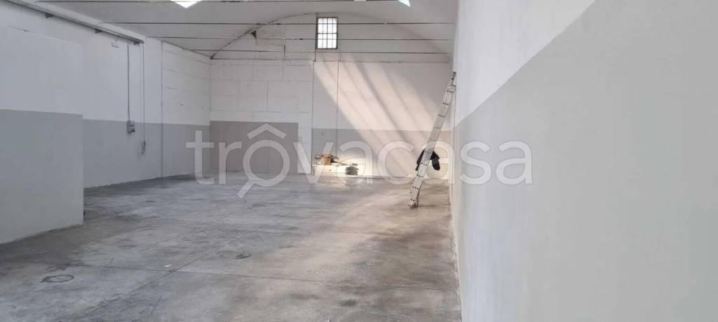 immagine annuncio 4 di 6