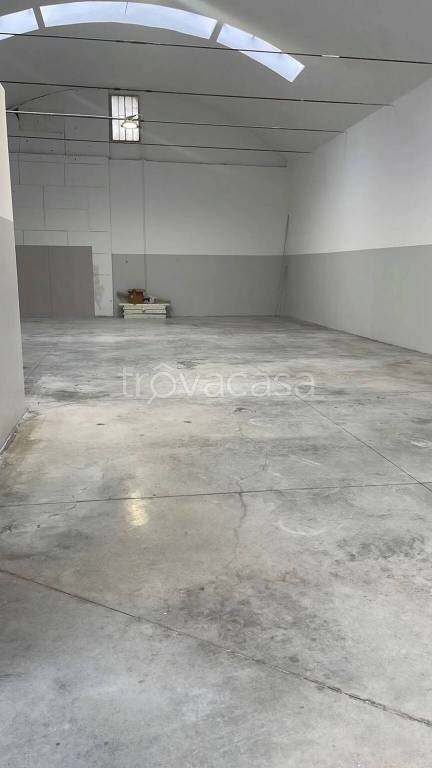 immagine annuncio 5 di 6