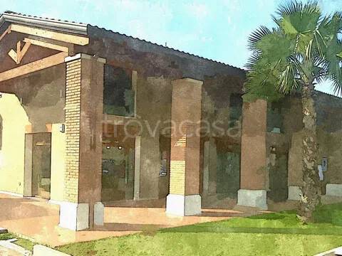 immagine annuncio 2 di 11