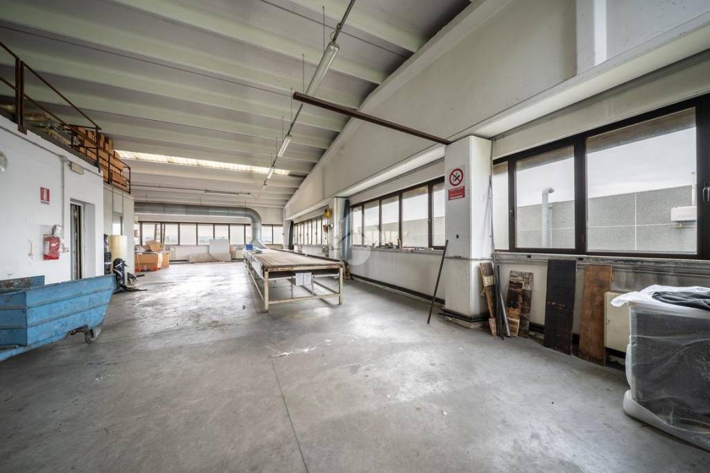 immagine annuncio 9 di 15