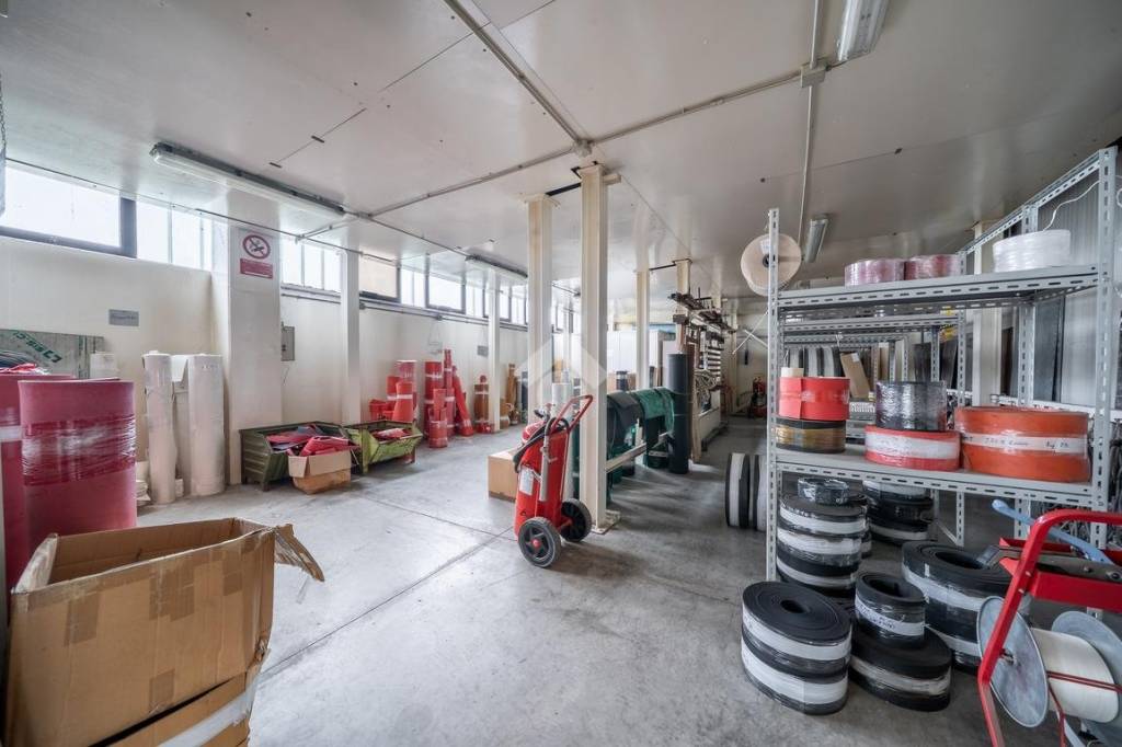 immagine annuncio 12 di 15