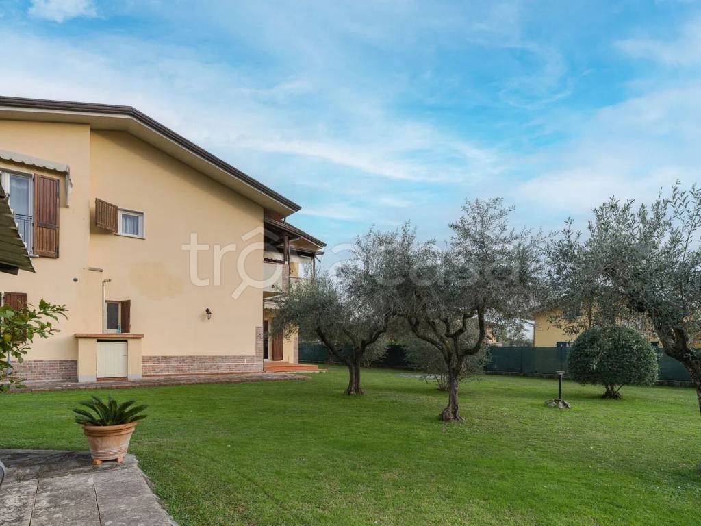 immagine annuncio 11 di 15