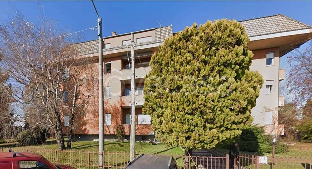 immagine annuncio 5 di 15