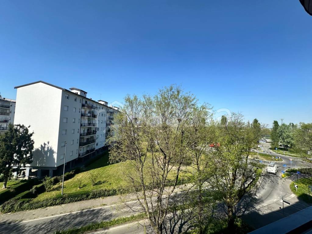 immagine annuncio 6 di 14