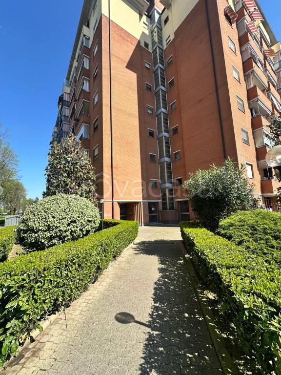 immagine annuncio 8 di 14