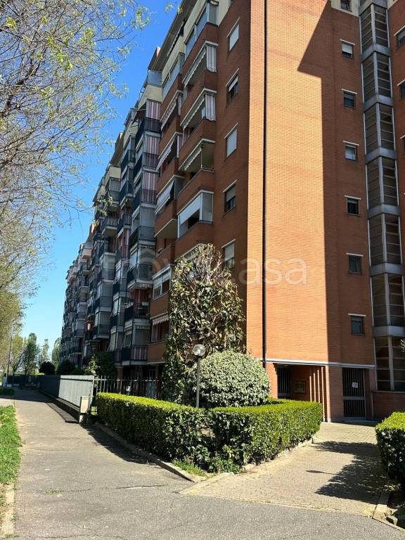 immagine annuncio 9 di 14