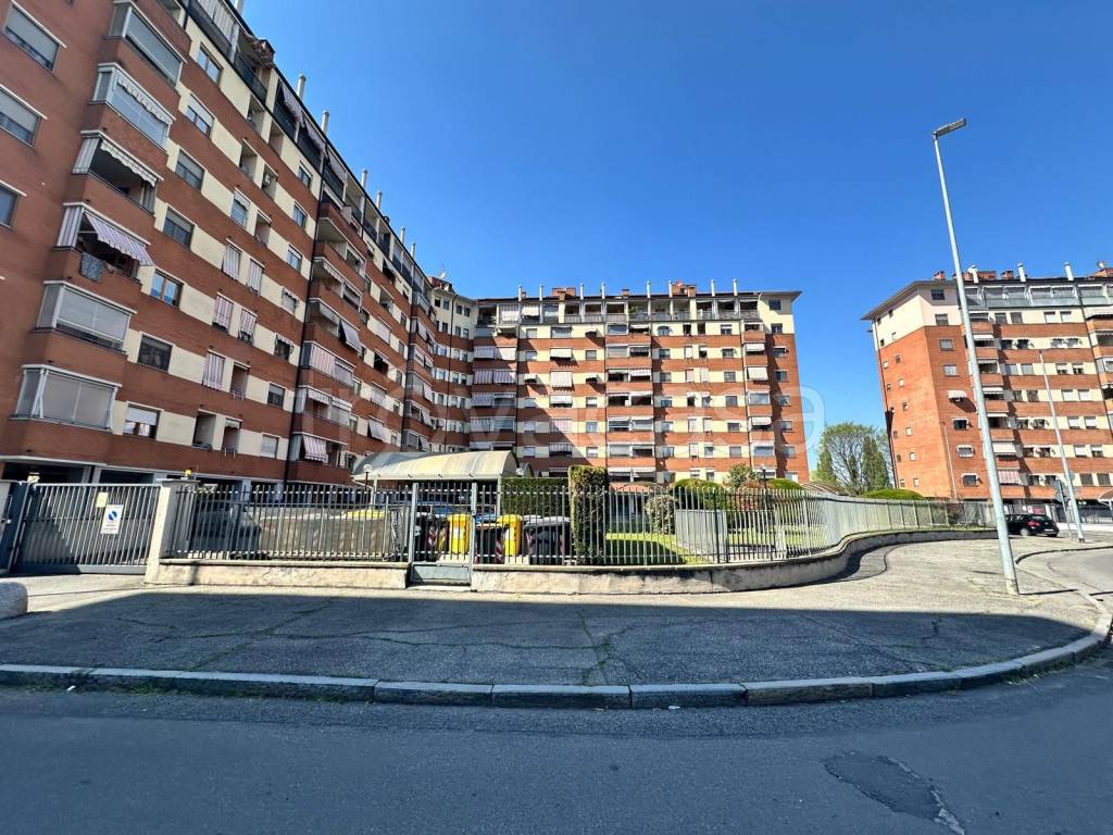 immagine annuncio 12 di 14