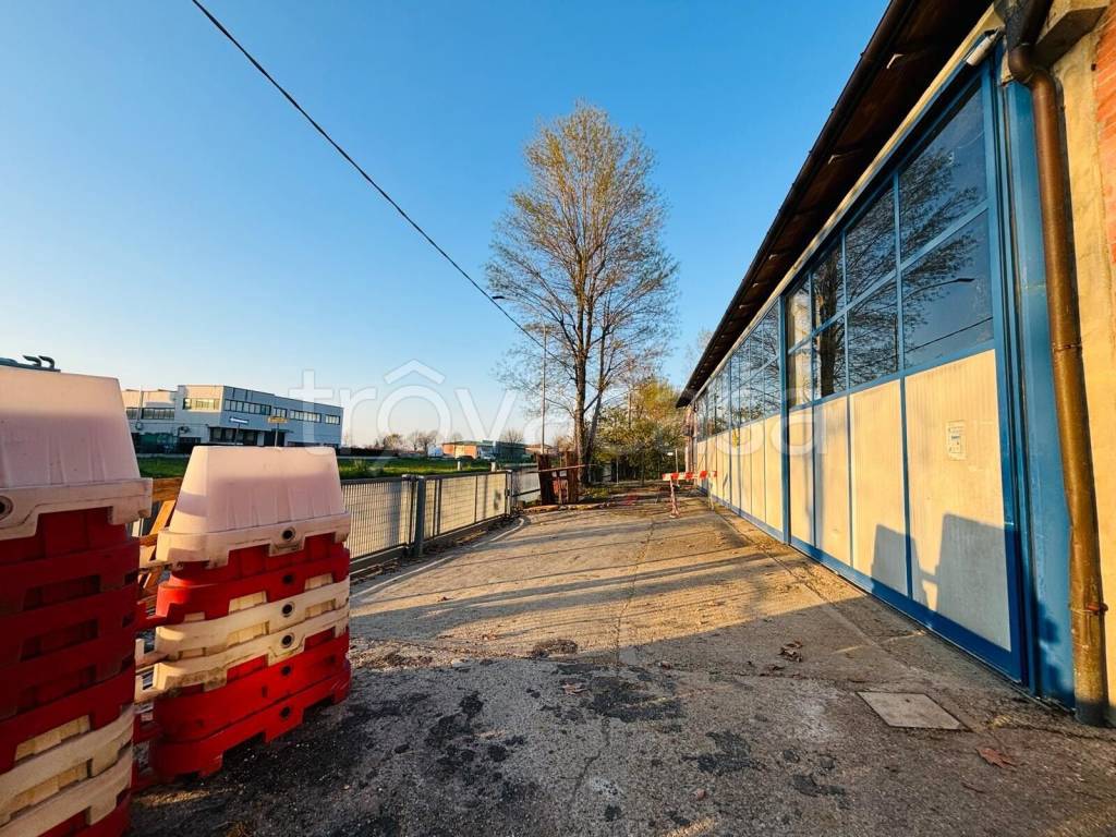 immagine annuncio 1 di 15